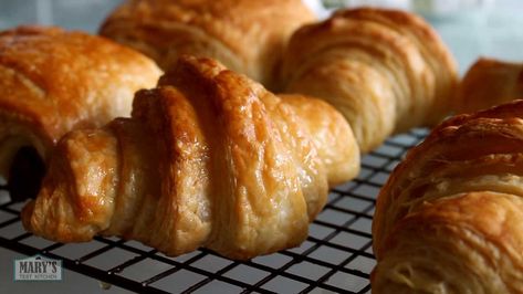 Pastries To Make, Chocolate Hazelnut Croissant, Aip Bread, Vegan Croissant, Vegan Croissants, Allergy Free Baking, French Croissants, Making Croissants, Cheese And Chocolate