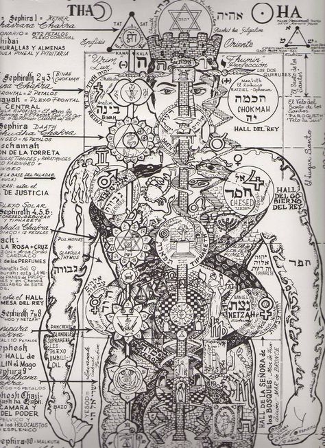 Occult Anatomy, Sacred Science, Sacred Geometry Symbols, Alchemy Symbols, Esoteric Art, Consciousness Art, Spirit Science, Occult Art, Ancient Knowledge