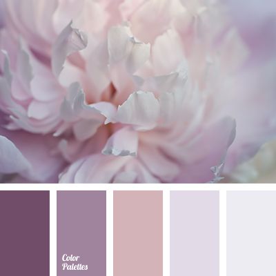 Pale shades of pink, lilac, brown and gray will perfectly fit the interior design in the room of a young amorous girl. Such gamma will underline that she i. Romantic Interior, Design Seeds, Color Balance, Pink Peony, Floral Color, Living Room Colors, Design Wedding, Purple Wedding, Bedroom Colors