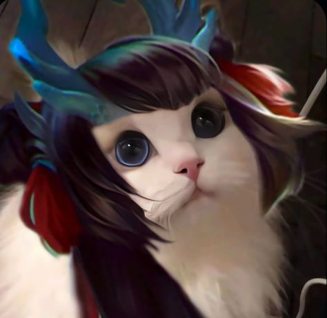 𝑴𝒍𝒃𝒃 𝒄𝒂𝒕 Mlbb Characters, Kagura Mlbb, Legend Cat, Cats Pfp, Cat Mobile, Alucard Mobile Legends, Animated Movies For Kids, Funny Cat Wallpaper, Legend Wallpaper