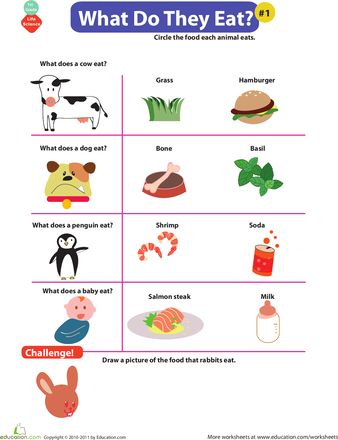 Students can use this activity to demonstrate an understanding of what different kinds of animals eat. It can be used as independent practice and it can be used to assess understanding of the concept. - MMB