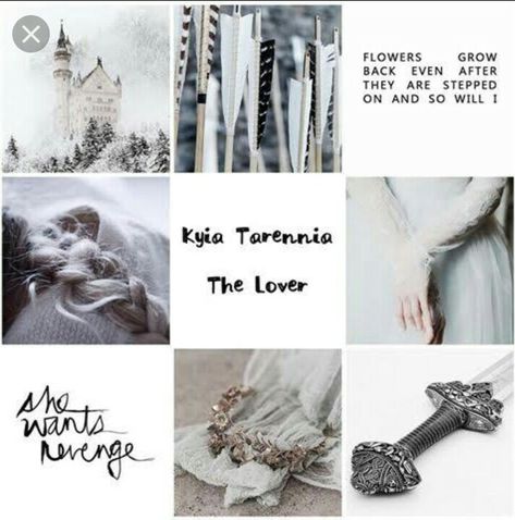 Kaiden James Medoran Chronicles, Medorian Chronicles, Medoran Chronicles, Lynette Noni, Movie Vibes, Random Fanart, Be Queen, Bookish Things, Book Fandoms