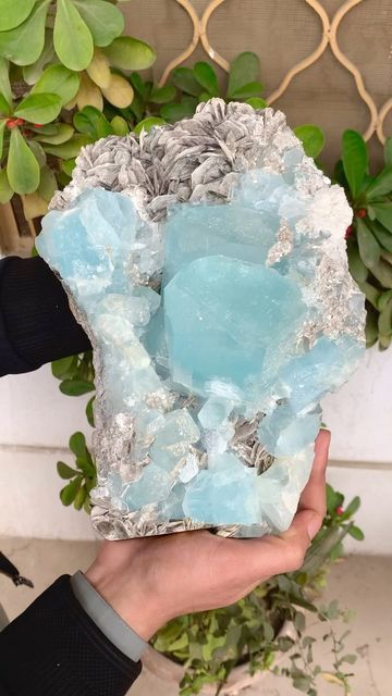 Muhammad Majid on Instagram: "Minerals: ❇️ AQUAMARINE with MICA ❇️ Museum Grade huge size Terminated Aquamarine crystals with mica. Weight : 6.3 kg Specimen size : 245*155*125 mm Crystals Sizes : 75*73*45 mm , 55*58*35 mm Origin : Nagar Mine Skardu Pakistan #aquamarine #aquamarines #aquamarinecrystal #aquamarinecrystals #aquamarinespecimen #aquamarinestone #aquamarinelove #tourmalinekingsworldwide #mica #crystals #crystalshop #crystalporn #crystalsofinsta #minerals #mineralsparadise #mineralsofig #mineralspecimen #minerology #gemstones #gems #gemporn #geology #geologypage #geologyrocks #geologists #rockhounds #rockhounding #giveaway #crystalsale #crystaladdiction" Aquamarine Crystal Aesthetic, Skardu Pakistan, Pretty Rocks, Cool Rocks, Aquamarine Crystal, Crystal Figurines, Mineral Stone, Minerals And Gemstones, Rocks And Gems