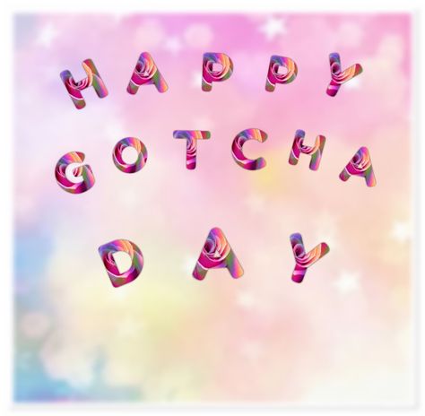 Happy Gotcha Day, Gotcha Day, Holiday Ideas, Celebrity Weddings, Dog Love, Birthday Cards, Angel, Puppies, Weddings