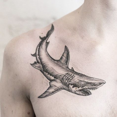 170+ Shark Tattoos Designs with Meanings (2022) - TattoosBoyGirl Ty Tattoo, Shark Tattoo Meaning, Shark Tattoo Ideas, Whale Shark Tattoo, Hai Tattoo, Hammerhead Shark Tattoo, Animal Tattoos For Men, Cool Sharks, Turtle Tattoo Designs