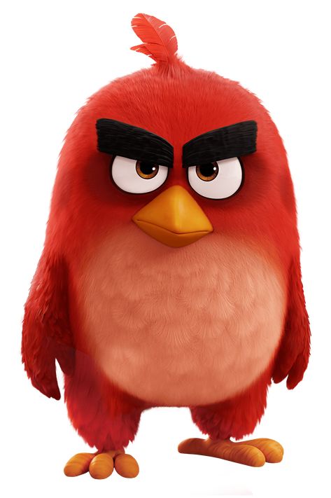 Angry Birds Movie Red, Animated Birds, Angry Birds Characters, Red Angry Bird, Birds Movie, Angry Birds Party, Angry Birds Movie, Animation Movies, Bird Party