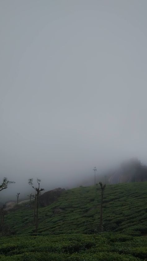 Foggy munnar Munnar Aesthetic, Shopping Snap Story, Shopping Snap, Breaking Bad Poster, Snap Story, Script Writer, Dubai Vacation, Instagram Captions Clever, Assistant Director