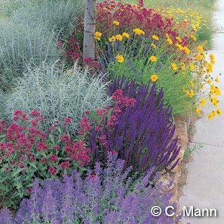 From High Country Garden, 2011. This is a pre-planned low water garden. :) High Country Gardens, Drought Tolerant Garden, Waterwise Garden, Desert Garden, Garden Nursery, Have Inspiration, Water Wise, Drought Tolerant Plants, Garden Cottage