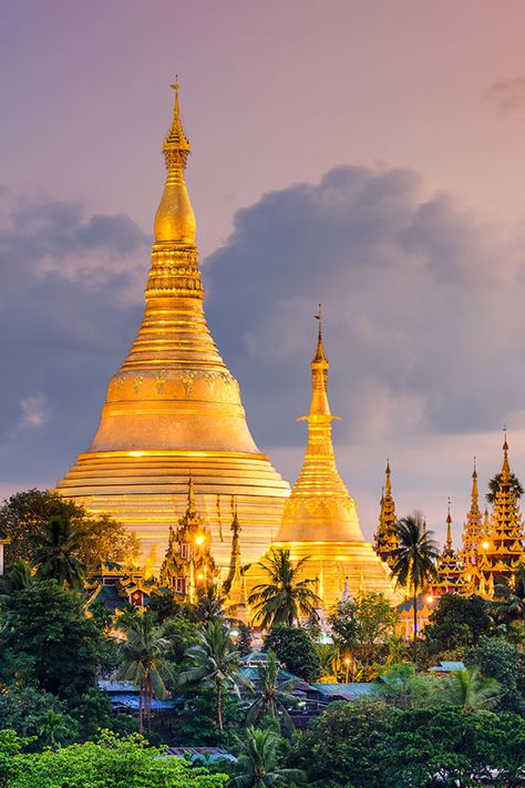 Buddhist Pagoda, Vintage Myanmar, Best Cruise Lines, Shwedagon Pagoda, Fall Photo Shoot Outfits, Myanmar Travel, How To Book A Cruise, Amazing Places On Earth, Yangon