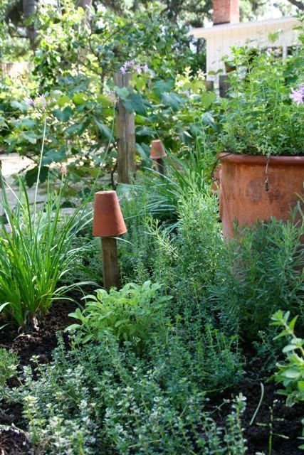 Big Herb Garden, Herb Garden Border Ideas, Rustic Herb Garden, Potager Garden Flowers, Kitchen Garden Balcony, Herb Garden Border, Ornamental Herb Garden, Herb Kitchen Garden, Medieval Herb Garden