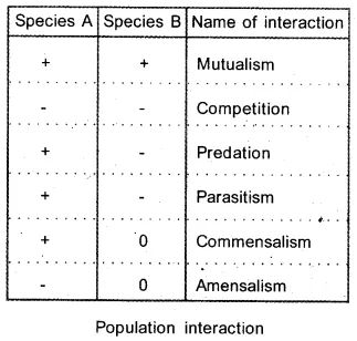 Organism And Population Notes, Botany Notes, Biology Classroom, Plant Medicine, Revision Notes, Biology Notes, Medicinal Plants, A Plus, Horticulture