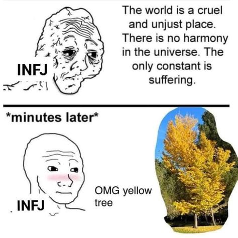 Infj Meme Funny, Infj T Personality, Infj 6w5, Infj And Intj, Infj X Intj, Infj X Entp, Infj Meme, Infj Female, Entp X Infj