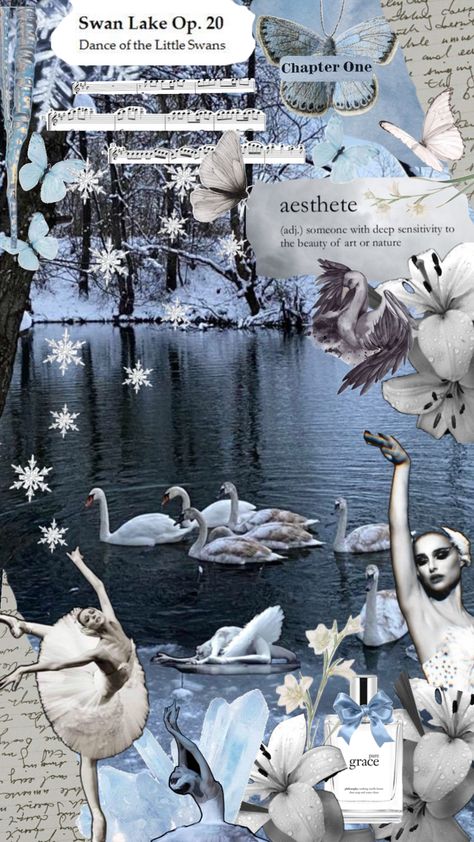 Swan lake Black Swan Snowy Lake Swan Lake Black Swan, Swan Lake Aesthetic, Swan Wallpaper, Lake Aesthetic, Swan Lake, Aesthetic Collage, Black Swan, Phone Backgrounds, Aesthetic Wallpapers