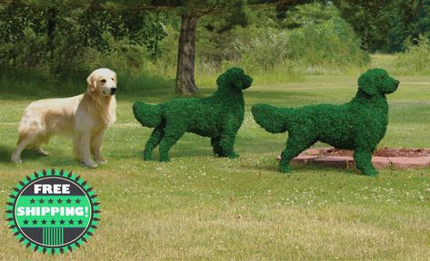 Dog Topiary, Outdoor Topiary, Dubai Garden, Topiary Garden, Garden Sculptures, Garden Animals, Diy Hanging, Golden Retrievers, Plant Art