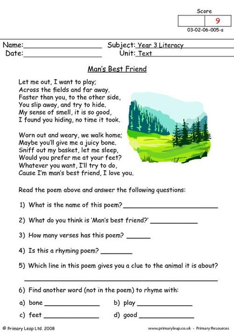 Duck Worksheet, Beach Worksheet, Poetry Comprehension Worksheets, Poetry Comprehension, Cloze Activity, Free Worksheets For Kids, Short Passage, English Grammar Worksheets, Student Information