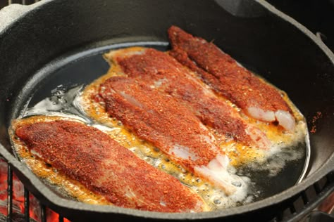 Classic Blackened Redfish Blackened Recipes, Redfish Recipes, Blackened Redfish, Creative Meals, Blackened Fish, Snapper Fish Recipes, Mediterranean Fish Recipe, Whole30 Fish Recipes, Sailboat Interior