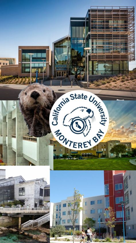 California State University Monterey Bay, Monterrey Bay, California State University, Dream School, Monterey Bay, California State, Monterey, State University, Dream Life