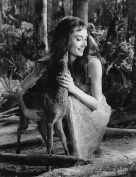 26 Enchanting and Candid Photographs of Audrey Hepburn With Her Favorite Pet Fawn Named Pippin a.k.a Ip ~ Vintage Everyday Audrey Hepburn Outfit, Pet Deer, Audrey Hepburn Born, Aubrey Hepburn, Audrey Hepburn Photos, Audrey Hepburn Style, Hepburn Style, Marlene Dietrich, Fair Lady