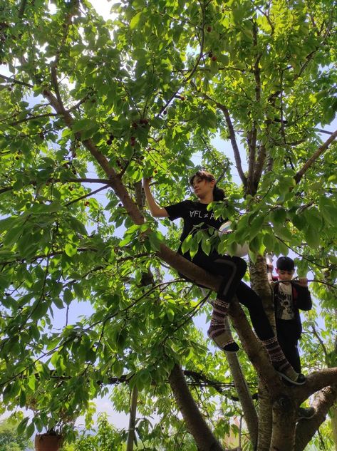 What Is Peace, The Giving Tree, Nature Photoshoot, Climb Trees, Tree Pose, Hair Color Blue, Human Poses, Teenage Dream, Tree Branch