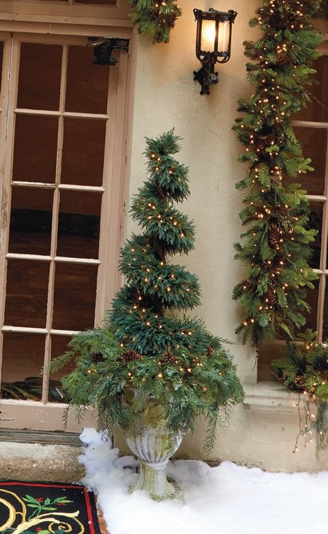 Year Round Garland, Boxwood Planters, Christmas Boxwood, Christmas Outdoors, Christmas Topiary, Left Out, Church Decor, Park Avenue, Holiday Decor Christmas