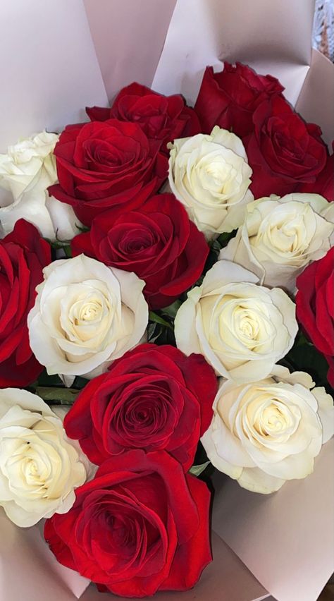 Flowers Present, Roses Bouquet Gift, Rose Flower Photos, White Rose Bouquet, Red Roses Wallpaper, Red And White Flowers, Flowers Instagram, Red And White Roses, Rose Flower Wallpaper