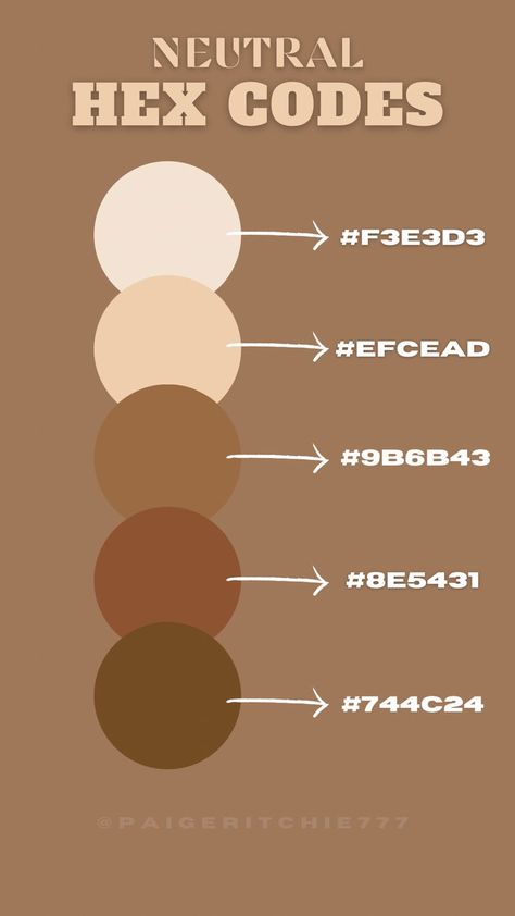 neutral colors, browns, tans, whites, natural color pallete, neutral, brown, cream, tan Neutrals Hex Code, Neutral Club Outfit, Cottagecore Hex Codes, Google Calendar Hex Codes Boho, Light Brown Hex Code, Skin Tone Hex Codes, Vintage Hex Codes, Light Academia Color Palette Hex Codes, Brown Brand Color Palette