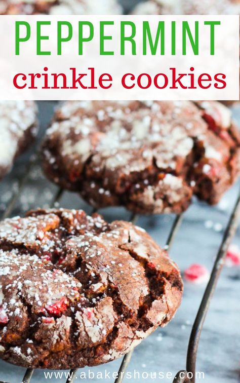 Chocolate Peppermint Crinkle Cookies, Peppermint Crinkle Cookies, Chocolate Crinkle Cookie, Chocolate Crinkle Cookies Recipe, Crinkle Cookies Recipe, Chocolate Crinkle, Peppermint Hot Cocoa, Chocolate Peppermint Cookies, Peppermint Chocolate