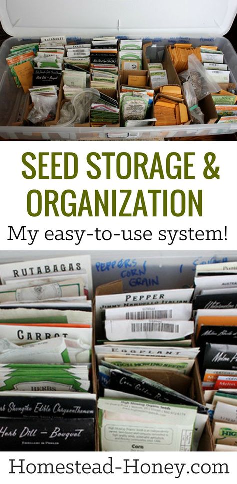 Homestead Animals, Saving Seeds, Growing Food Indoors, Gardening Seeds, Vegetable Garden Planner, Seed Storage, Hydroponic Farming, Sustainable Gardening, Indoor Vegetable Gardening