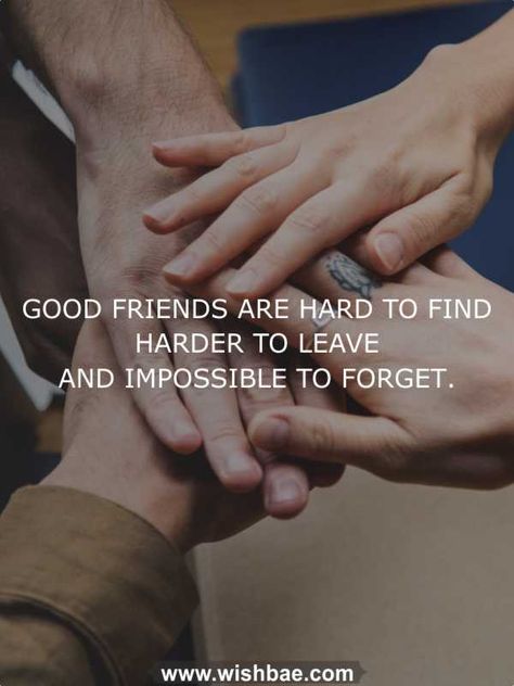 friendship quotes    #friends #friendship #friendshipday #friendshipday2018 #happyfriendshipday #friendshipdaywishes Happy Friendship Day Best Friends Quotes, Friend Ship Day Quotes, Happy Friendship Day Quotes Bff, Happy Frindeship Day, Friendship Day Qoute, Views Quotes, Beautiful Friendship Quotes, Frienship Quotes, Friendship Articles