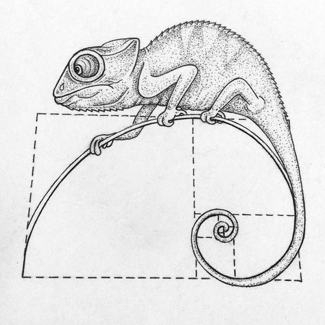 Chameleon Line Tattoo, Chameleon Drawing Realistic, Chameleon Art Drawing, Chameleon Line Drawing, Camilion Tattoos, Camilian Lizard Drawing, Camelions Drawing, Drawing Chameleon, Chameleon Drawing