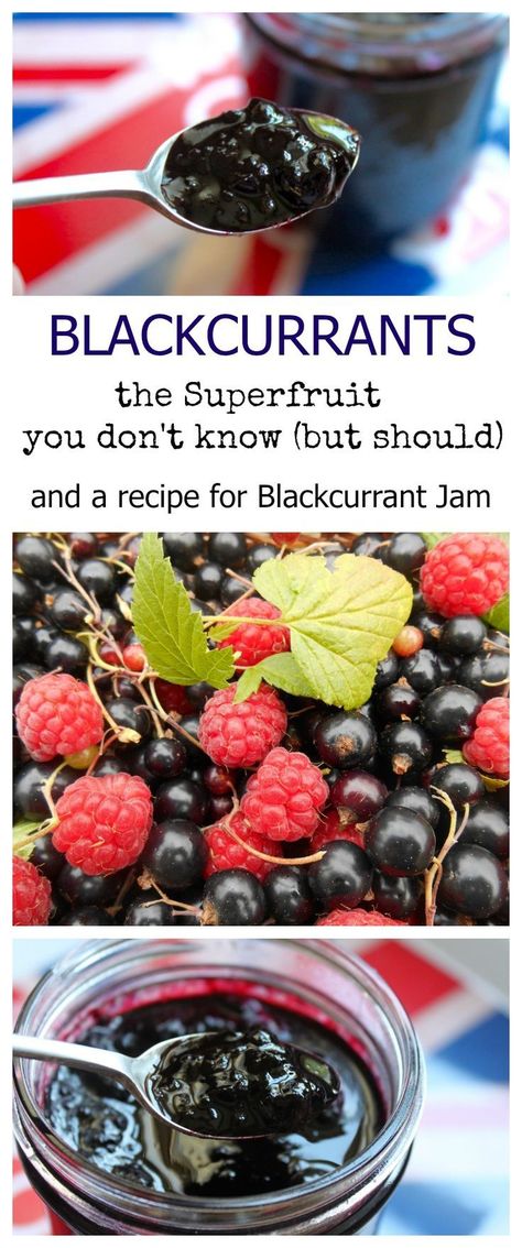 Currant Jam Recipes, Black Currant Jelly, Black Currant Jelly Recipe, Black Currant Jam Recipes, Blackcurrant Recipes, Black Currents, Black Currant Recipes, Fruit Combos, Black Currant Jam