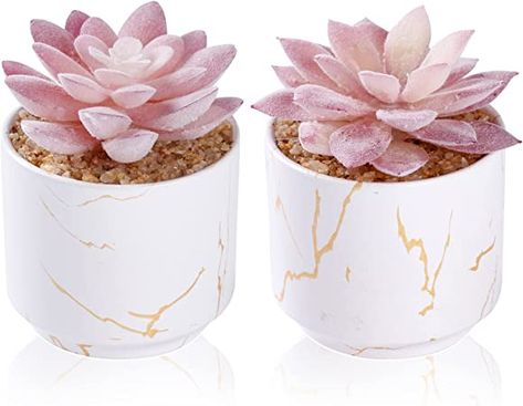 Succulents Indoor Decor, Pink Office Decor, Office Decor For Women, Bureau Decor, Cute Desk Accessories, Desk Plants, Fake Plants Decor, Pink Room Decor, Fake Succulents