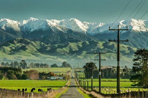 New Zealand's Environment Is In Serious Trouble Types Of Farming, Forest Camp, Moving To New Zealand, New Zealand Landscape, New Zealand North, On The Road Again, South Island, Urban Area, Country Road