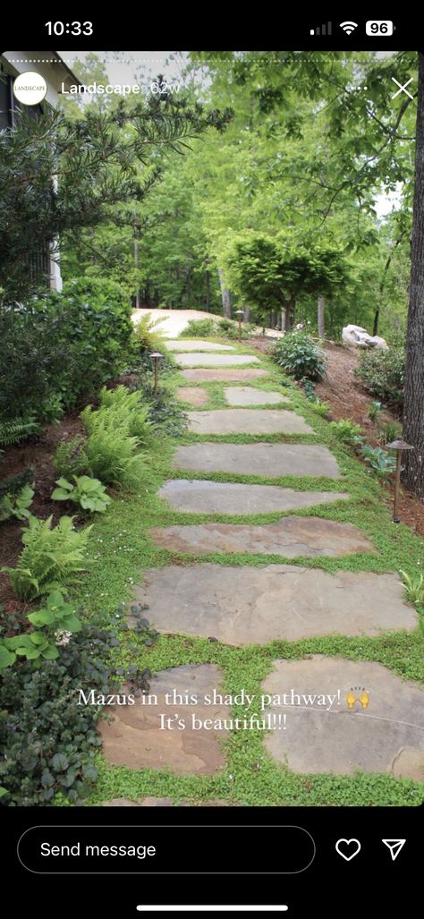 Stone Backyard, Stone Garden Paths, Flagstone Path, Edging Plants, Backyard Walkway, Stone Walkway, Stone Pathway, Stone Path, Backyard Garden Design