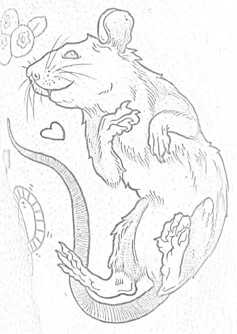 Rat Line Art, Rat Illustrated, Chinchilla Tattoo, Rat Tattoo Design, Rat Anatomy, Rat Draw, Rat Sketch, Punk Rat, Stencil Tattoos