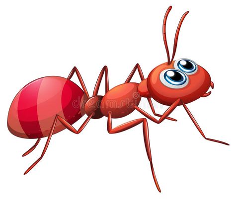 A big ant crawling stock illustration Kill Carpenter Ants, Ant Remedies, Ant Killer Recipe, Big Ant, Rid Of Ants, Carpenter Ant, Get Rid Of Ants, Ant Killer, Types Of Insects