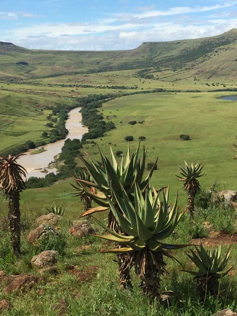 Eastern Cape, South Africa Eastern Cape South Africa Xhosa, Eastern Cape South Africa, Moon Ocean, African Savanna, Dnd Inspiration, Beautiful Scenery Pictures, Eastern Cape, Scenery Pictures, Southern Africa