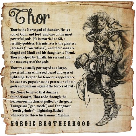 Norse Pantheon, Odin Norse Mythology, Arte Viking, Viking Quotes, Symbole Viking, Norse Goddess, Pagan Gods, Norse Myth, Norse Symbols