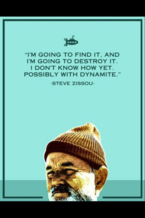 My favorite quotes Life Aquatic With Steve Zissou, The Life Aquatic, Steve Zissou, Wes Anderson Movies, Wes Anderson Films, The Royal Tenenbaums, Life Aquatic, Bill Murray, Tv Quotes