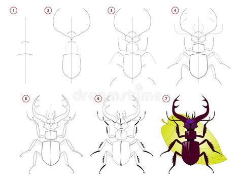 Cute Stag Beetle, Disney Drawing Tutorial, Step By Step Sketches, Rhino Beetle, Book Vector, Draw Step By Step, How To Draw Steps, Kids Worksheets Printables, Boy Bedroom Design