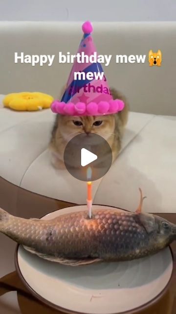 Instagram Happy Birthday, March 19, Best Music, Good Music, Snapchat, Lenses, Happy Birthday, Memes, Birthday