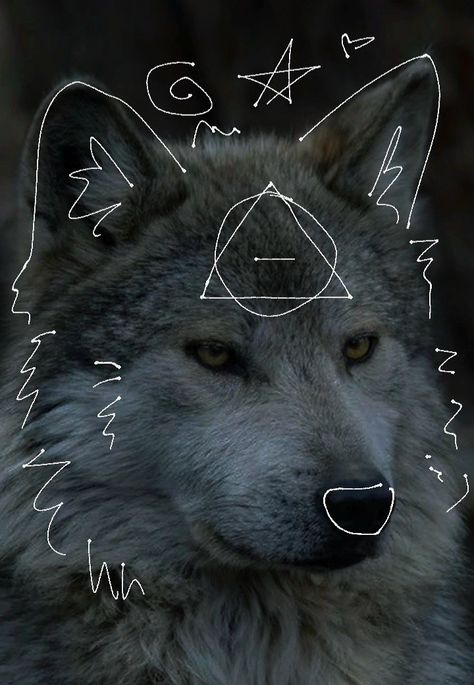 Be Serious, A Wolf, Made By Me, Art