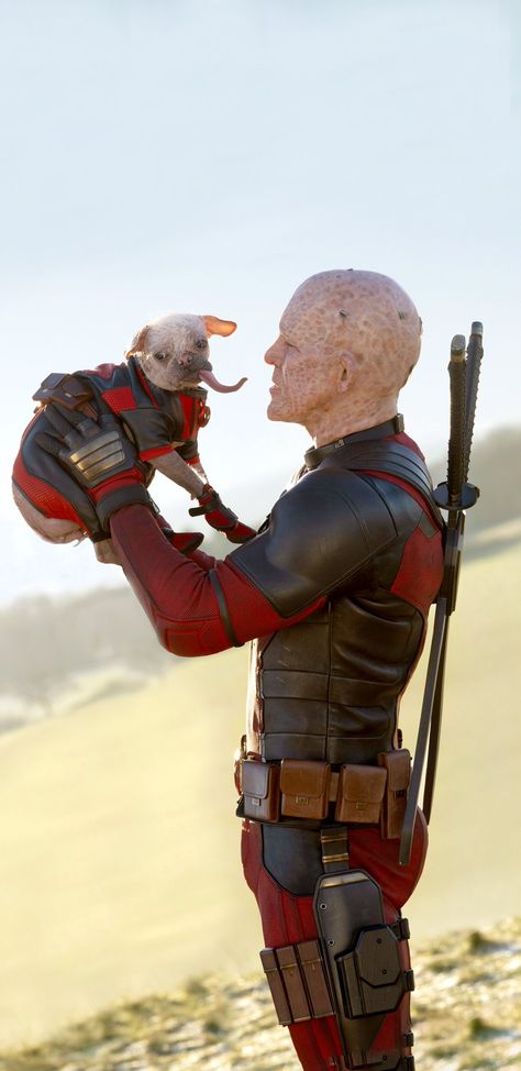 Deadpool And Wolverine Dogpool, Wade Wilson Fanart, Marvel Dogpool, Deadpool Unmasked, Deadpool Photos, Marvel Jesus, Deadpool Pictures, Deadpool Costume, Marvel Movie Posters