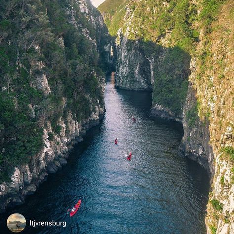 Here we go! Deeper and deeper into the beautiful Stormsriver Gorge! Thanks @ltjvrensburg Tsitsikamma National Park, South Africa Travel Guide, South Africa Photography, River Mouth, Africa Travel Guide, South Africa Travel, Ancient Forest, Garden Route, Photo B