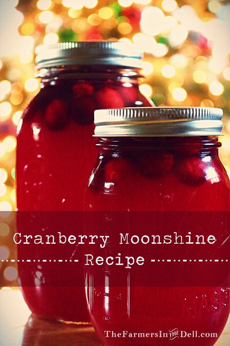 My cranberry craze continues!  Only this time, I’ve added some hooch.  Refrigerate overnight or let it sit for a few weeks to mellow.  Either way, it produces quite a kick!  Please enjoy resp… Cranberry Moonshine Recipes, Crock Pot Moonshine Recipes, Christmas Moonshine Recipes, Grape Moonshine Recipes, Everclear Moonshine Recipes, Cranberry Moonshine, Caramel Apple Jam Recipe, Moonshine Recipe, Cranberry Tea