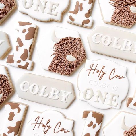 Rodeo Themed 1st Birthday Cookies, 1st Rodeo Cookies Boy, First Rodeo Birthday Cookies, Highland Cow 1st Birthday Boy, 2nd Rodeo Birthday Party Cookies, Cow Sugar Cookies, Cow Birthday Cookies, First Rodeo Cookies Boy, Highland Cow Cookies