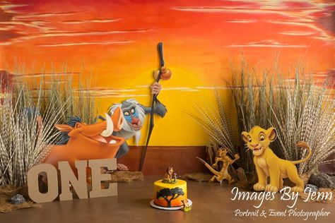 Lion King Birthday Party Ideas, Christmas Background Photography, Lion King Theme, Butterfly Garden Party, Baby Books Diy, Baby Photography Backdrop, Lion King Party, Lion King 1, Lion King Baby