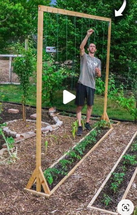 Garden Beds In Ground, Tomato Beds Raised, Simple Raised Bed Garden, Diy Raised Bed Frame, Raised Bed Tomatoes, Raised Pallet Garden Beds, Small Veg Garden Ideas, Small Raised Vegetable Garden, Garden Beds With Trellis