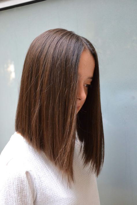 Chic Long Bob, Triangular One Length Haircut, Fall Bob Hairstyles, Fall Bob, Hairstyle 2023, One Length Hair, Hair Tint, Long Bob Haircuts, Brown Hair Balayage