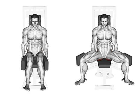 Exercise Database (Legs35) - Thigh Abductor — Jase Stuart - The Better Body Coach Abductor Exercises Machine, Leg Abductor Exercises, Abductor Exercises, Back Workout Men, Bodybuilding Transformation, Dumbell Workout, Glute Activation, Body Coach, Gluteus Medius